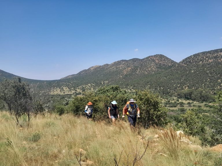 Walking Through a World Heritage Wonder: Discover the Crater Camino