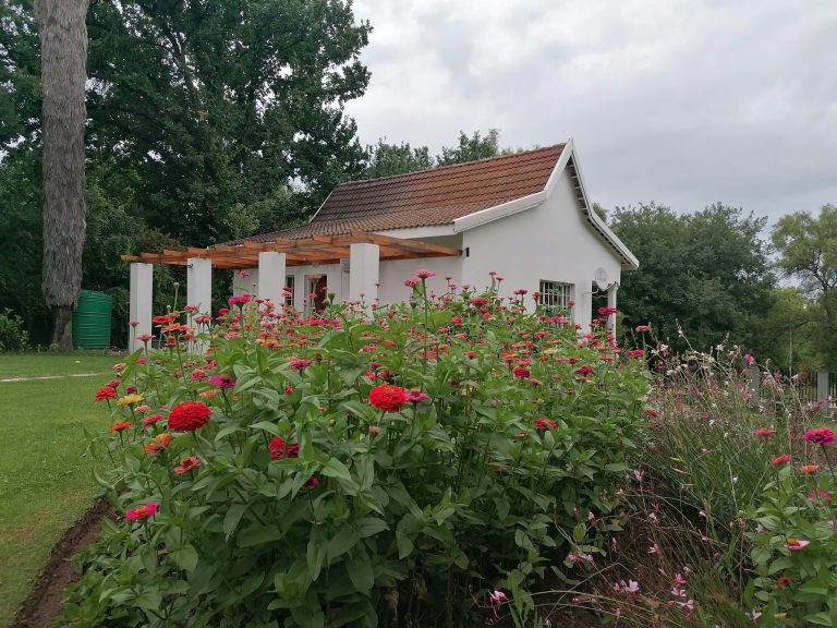 Spa Escapes, Wine Evenings and Stylish Stays Close to Gauteng