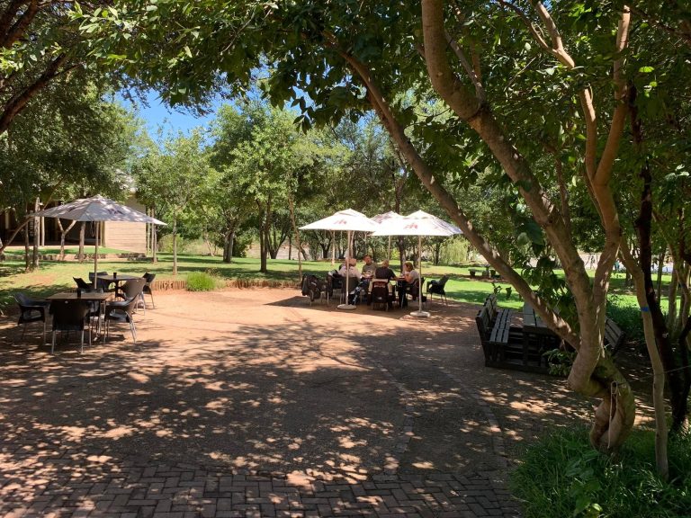 Beyond the Main Street: Discover Another Side of Parys