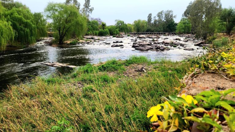 How Parys Became the Pride of the Vaal