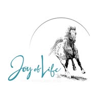 Joy of Life Appaloosa Stud (P)