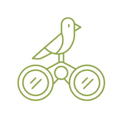 Bird Watching