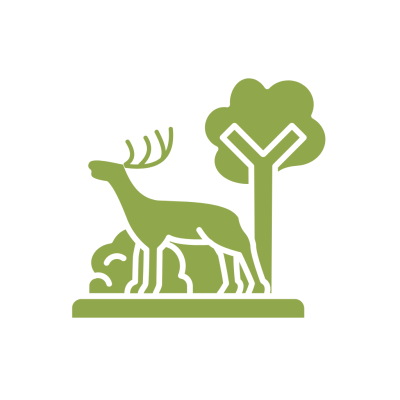 Game Drives