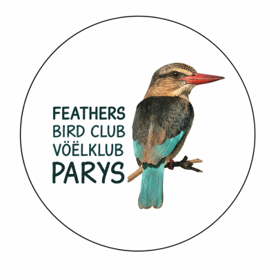 Feathers Bird Club